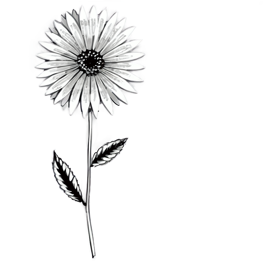 Monochrome Indie Flower Png Ycx