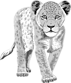 Monochrome Leopard Illustration