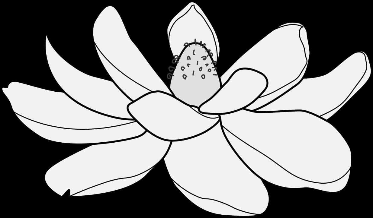 Monochrome Lotus Vector Illustration