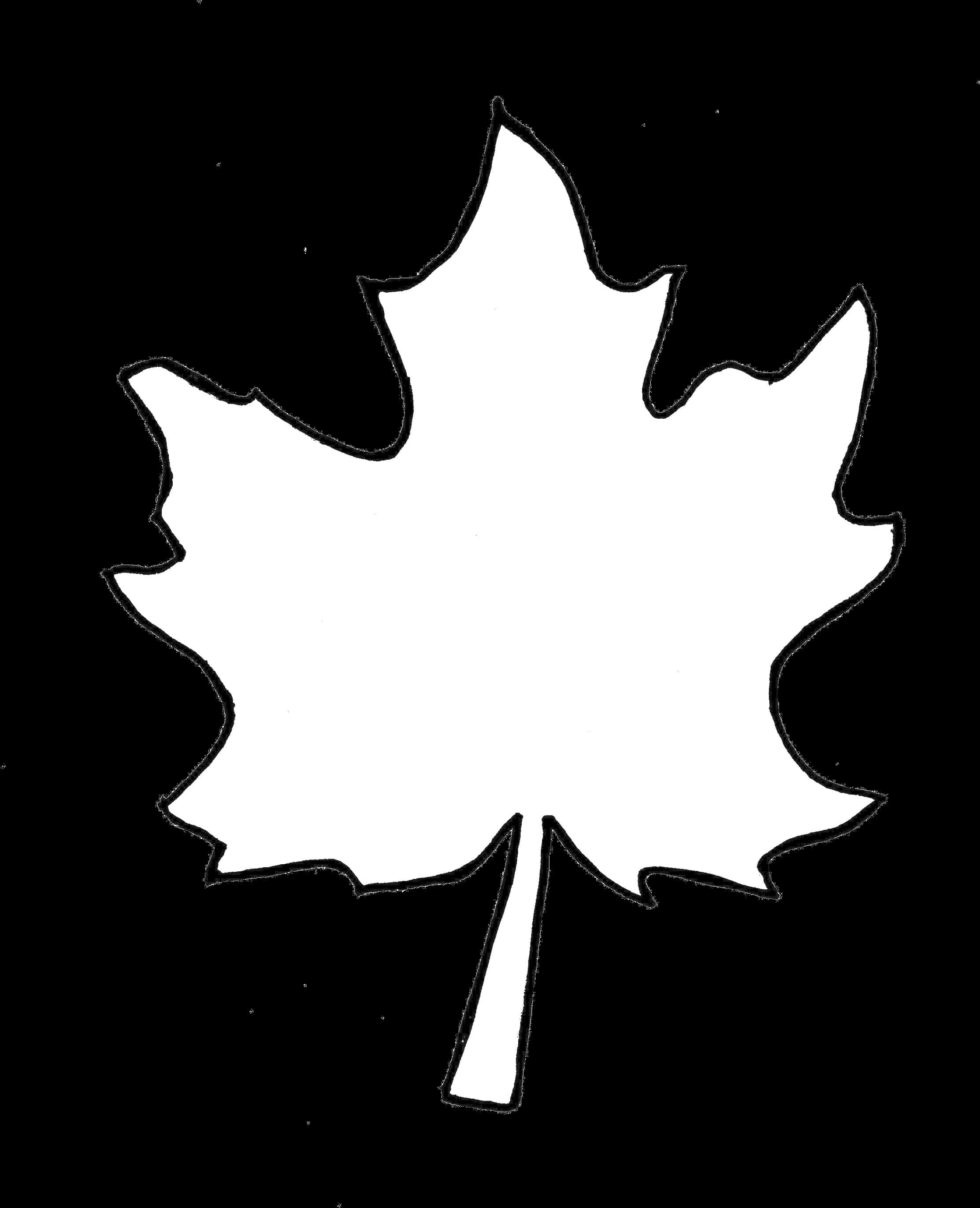 Monochrome Maple Leaf Silhouette