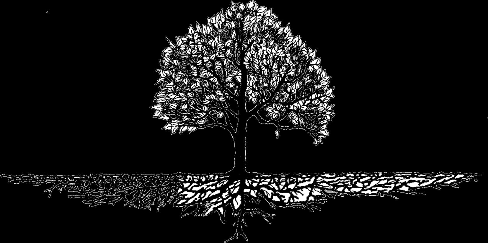 Monochrome_ Tree_ Silhouette_with_ Reflections