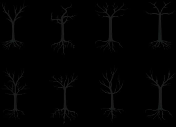 Monochrome_ Tree_ Silhouettes_ Pattern.jpg