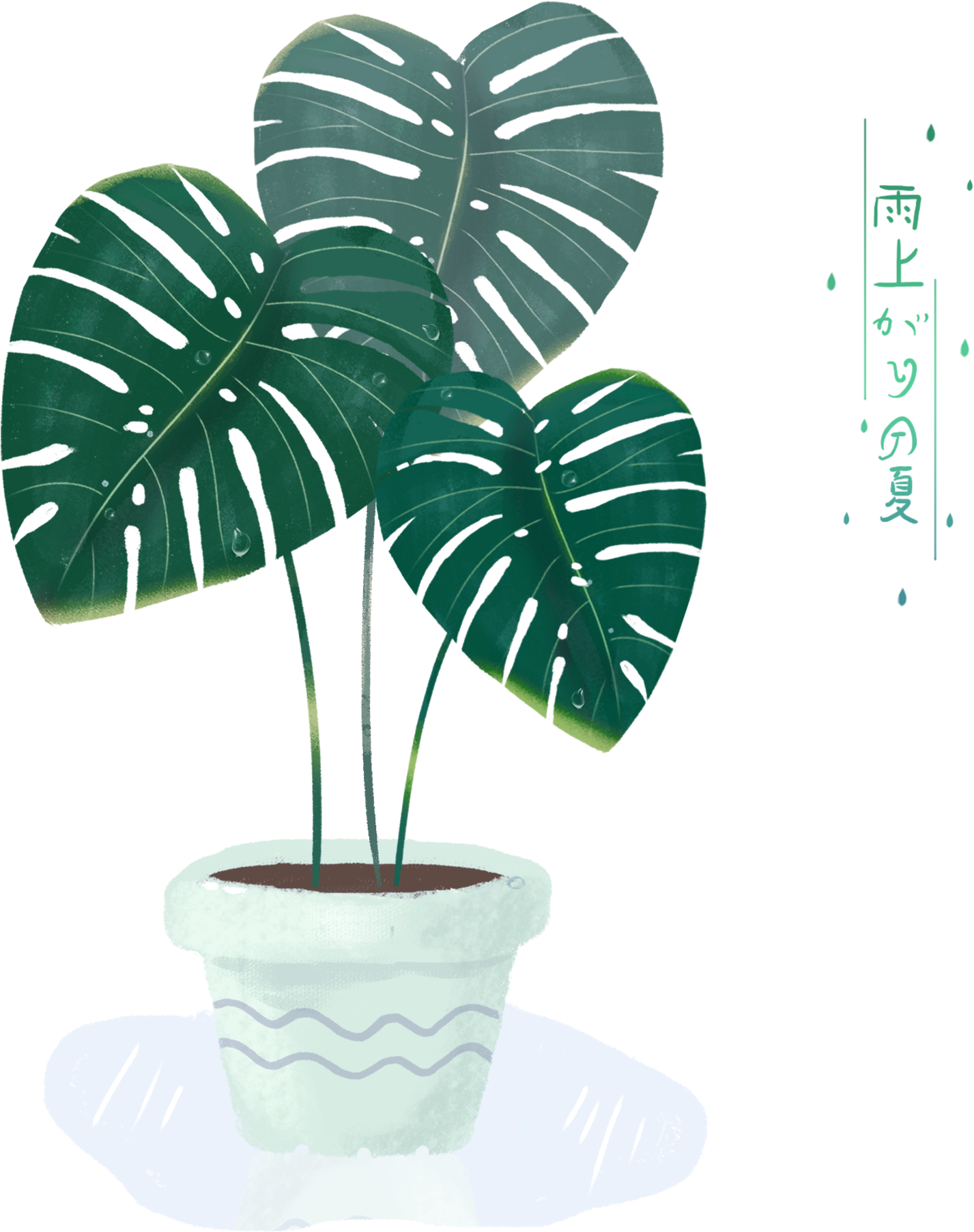 Monstera Deliciosa Illustration