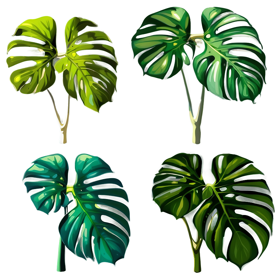 Monstera Deliciosa In Nature Png Wgi80