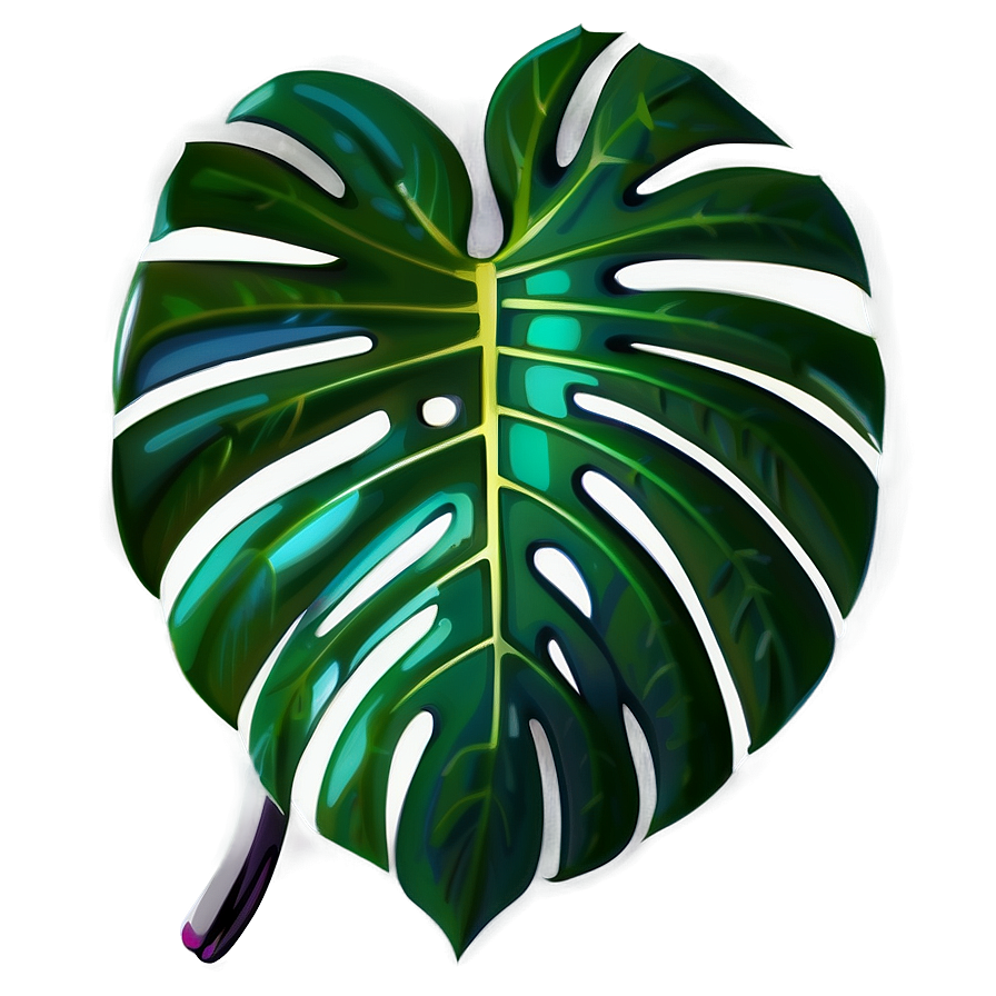 Monstera Deliciosa Vector Png 05232024