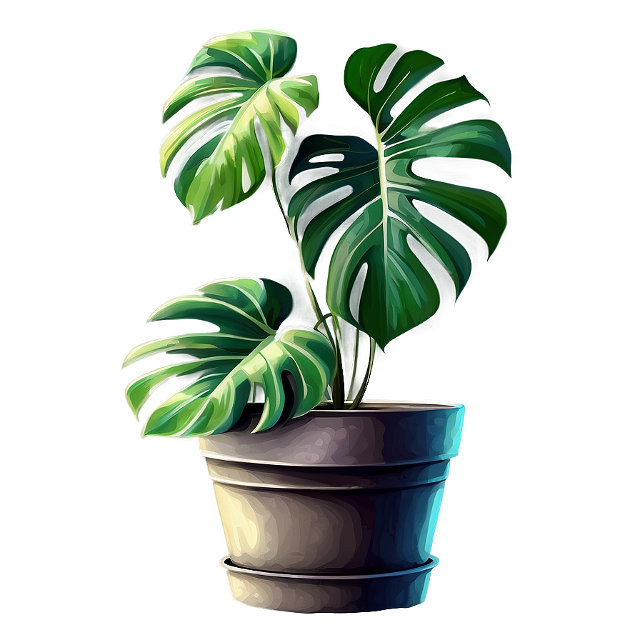 Monstera In Pot Drawing Png 05232024