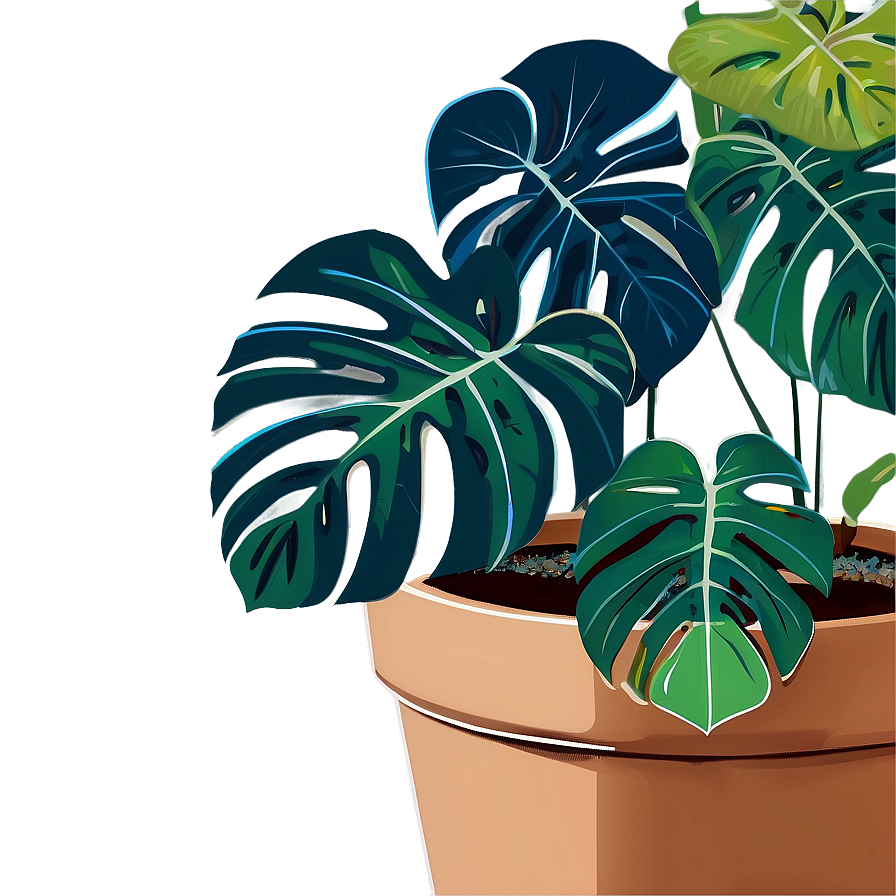 Monstera In Pot Drawing Png 05232024