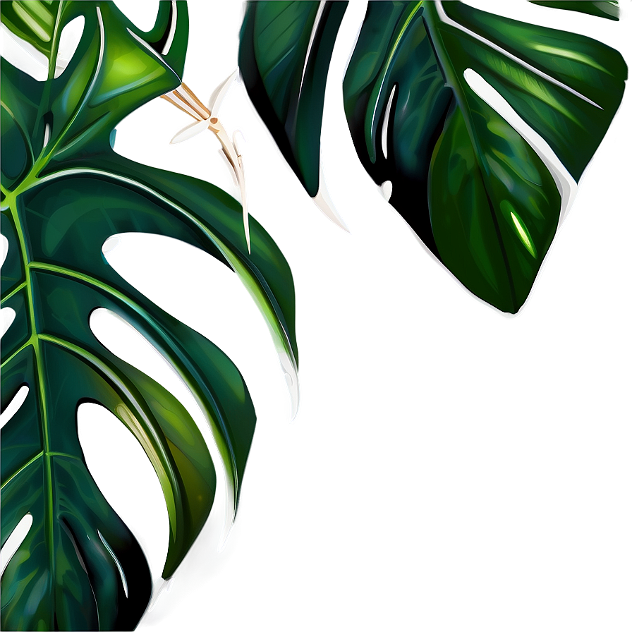 Monstera Leaf Design Png 05232024