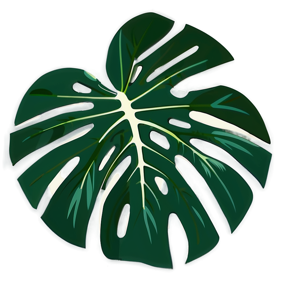 Monstera Leaf Flat Design Png 05232024