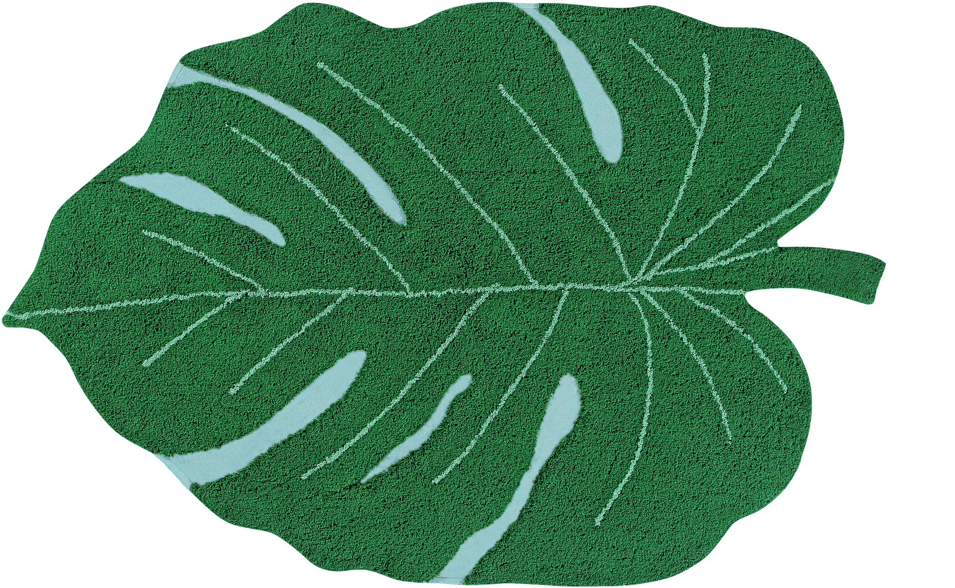 Monstera Leaf Texture