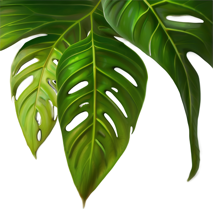 Monstera Leaf Tropical Png Jfq