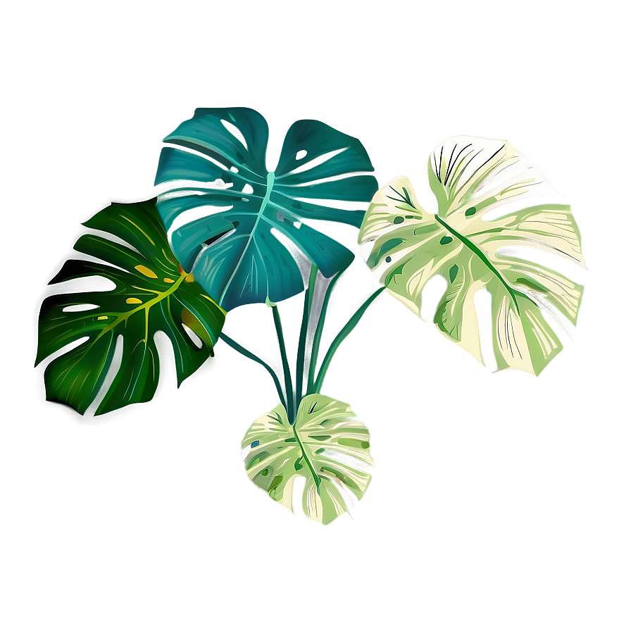 Monstera Plant Garden Png Pts24