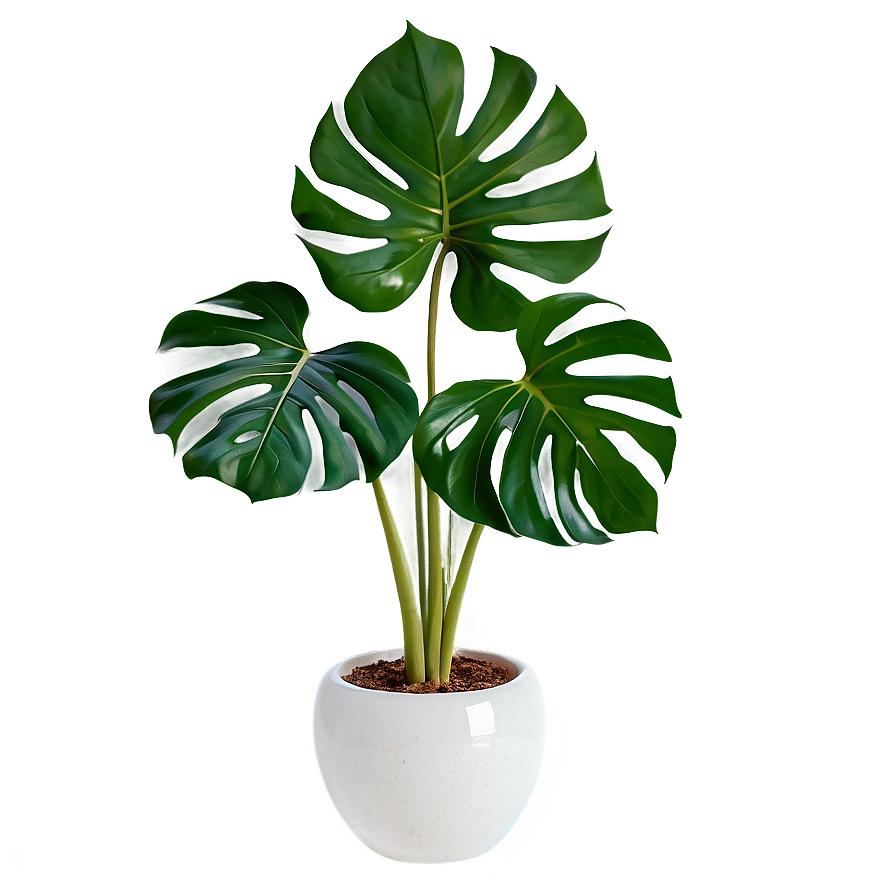 Monstera Plant In Glass Pot Png 97