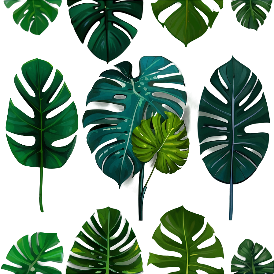 Monstera Plant Indoor Png Iiv