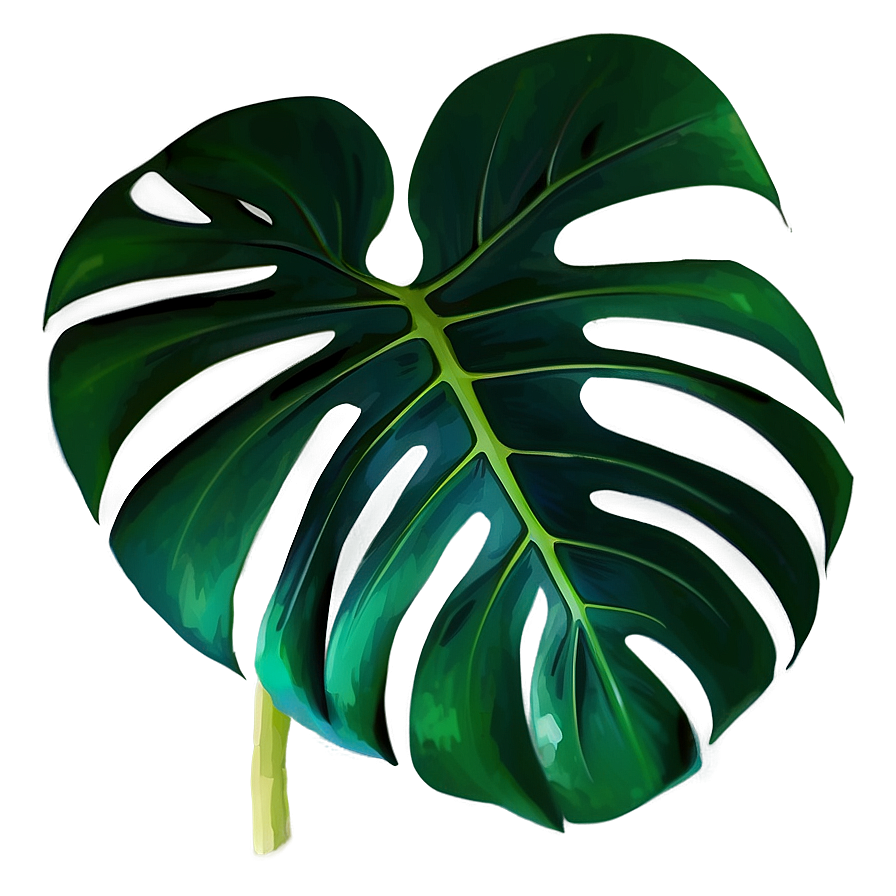 Monstera Plant Leaf Png Skg43