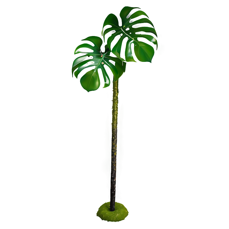 Monstera Plant With Moss Pole Png 06212024