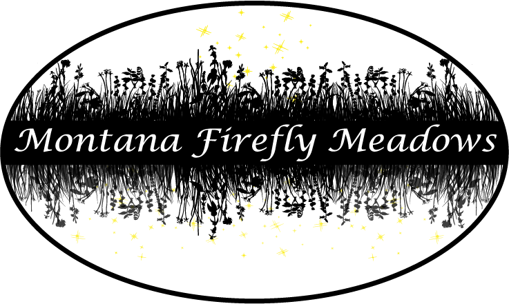 Montana Firefly Meadows Night Scene