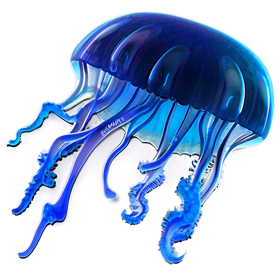 Moon Jelly A