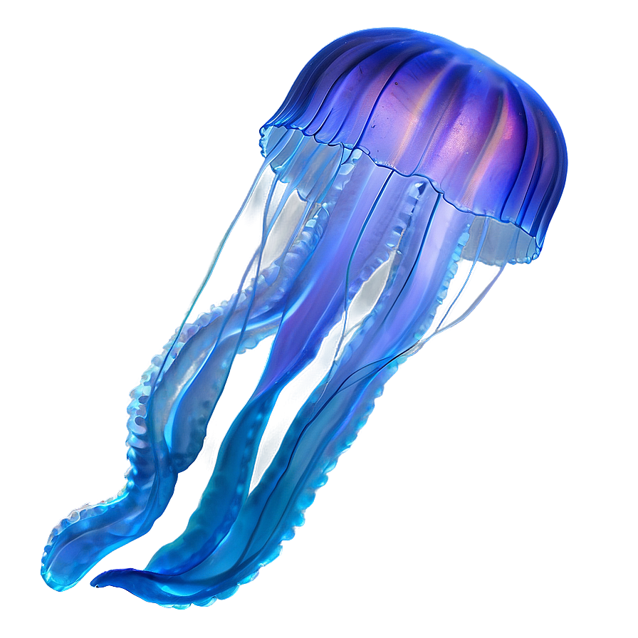 Moon Jelly In Magical Ocean Png Hxp