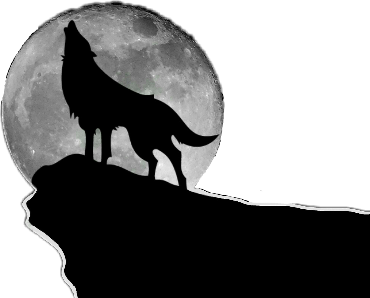 Moonlit Wolf Silhouette