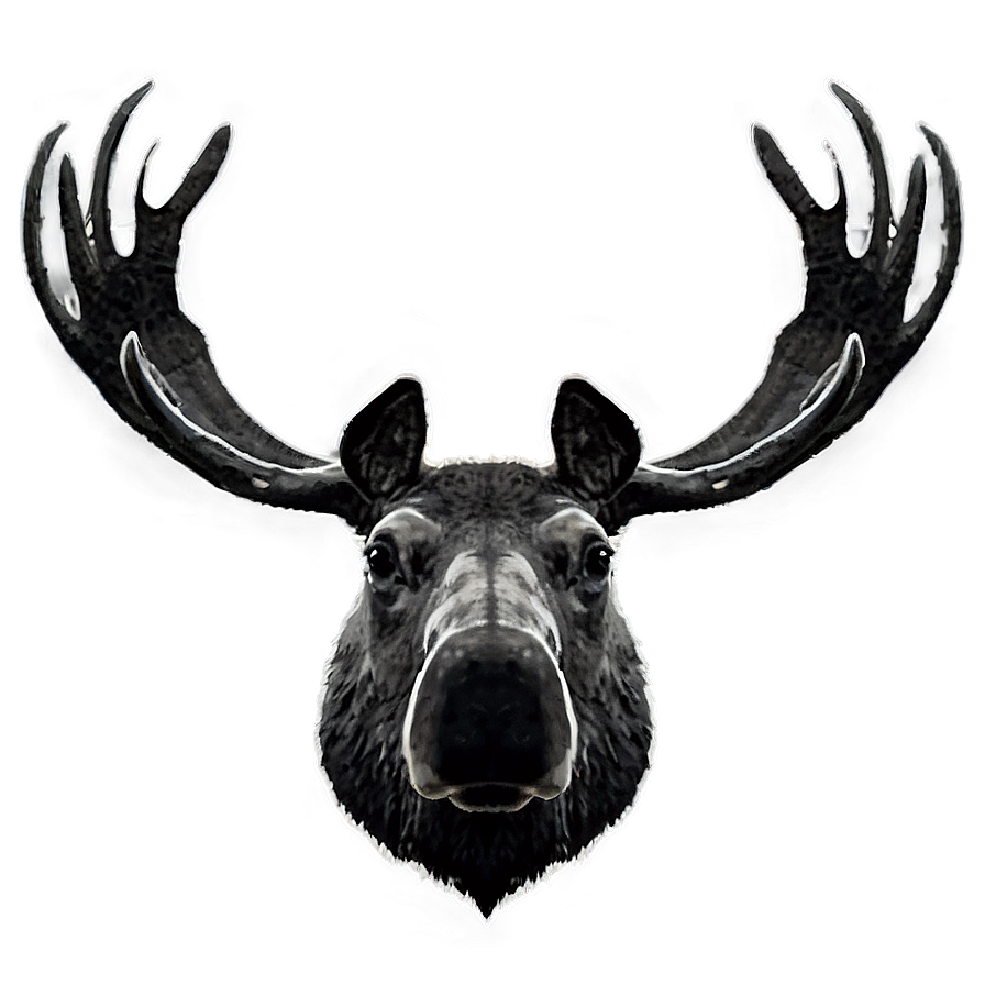 Moose Head Silhouette Png Weo51