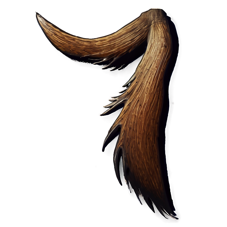 Moose Tail Png 06242024