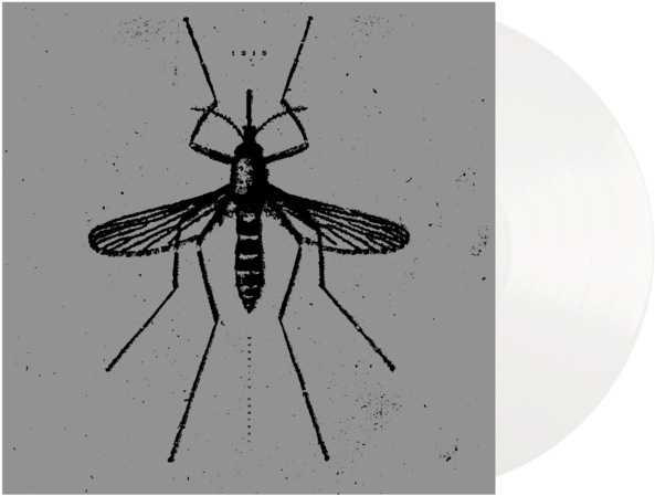 Mosquito Illustration Blackand White