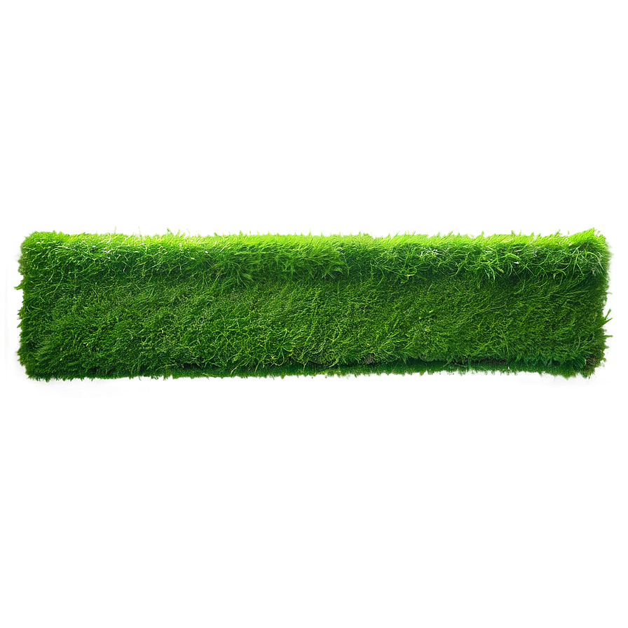 Moss Green Banner Png 06262024