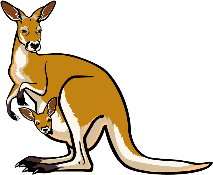 Mother Kangarooand Joey Vector Illustration