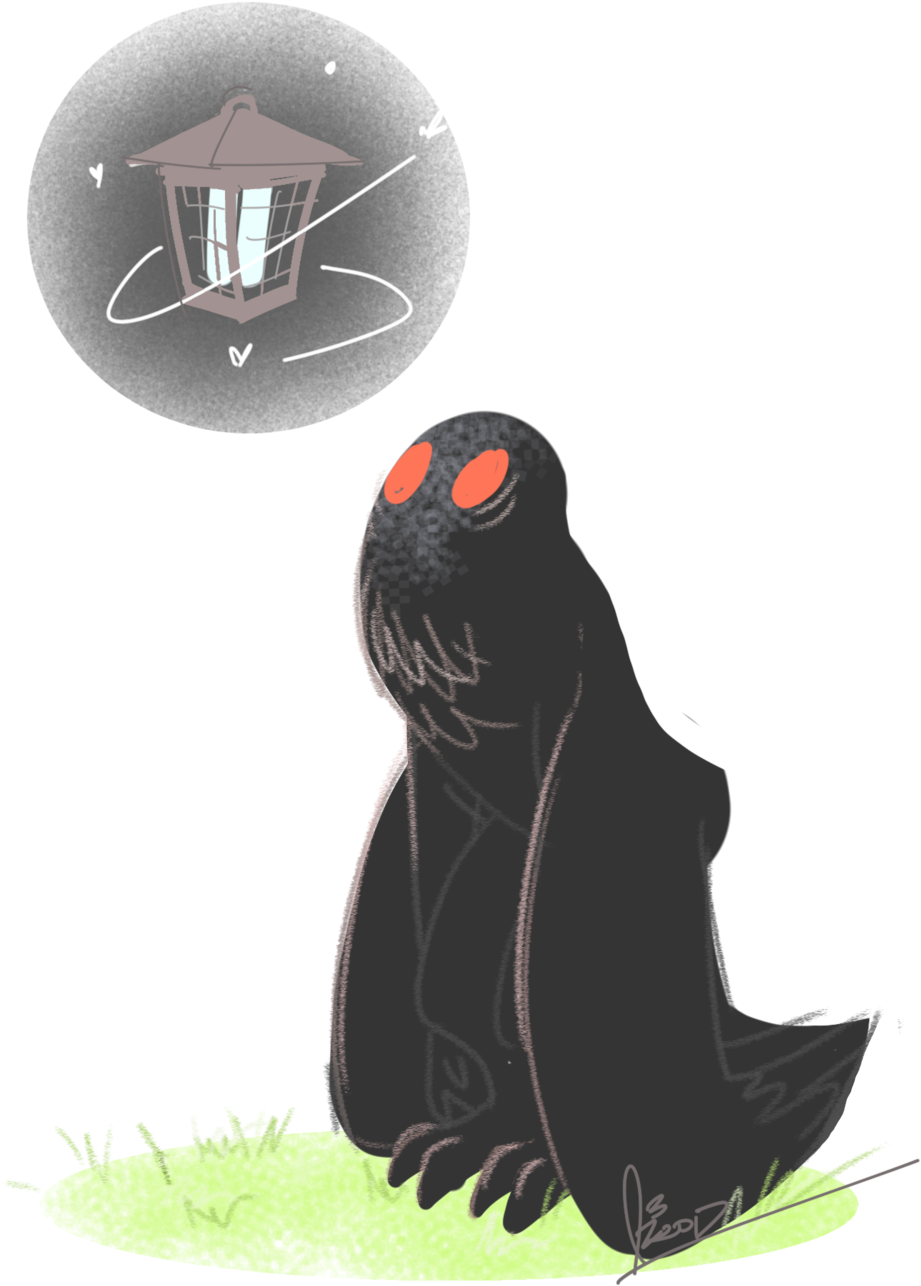 Mothman Contemplating Lantern