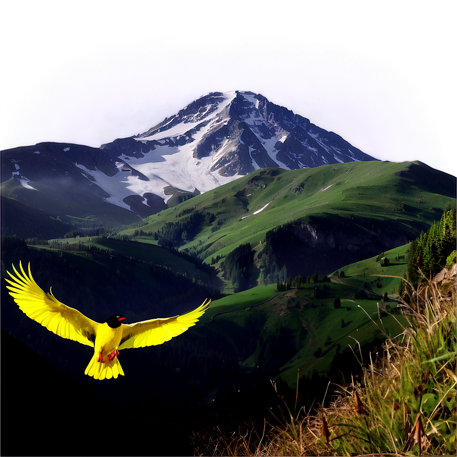 Mountain With Birds Png 05032024