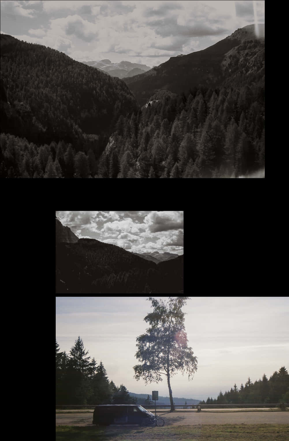 Mountainous_ Forest_ Scenery_ Collage