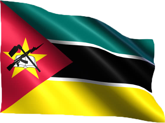 Mozambique Flag Waving