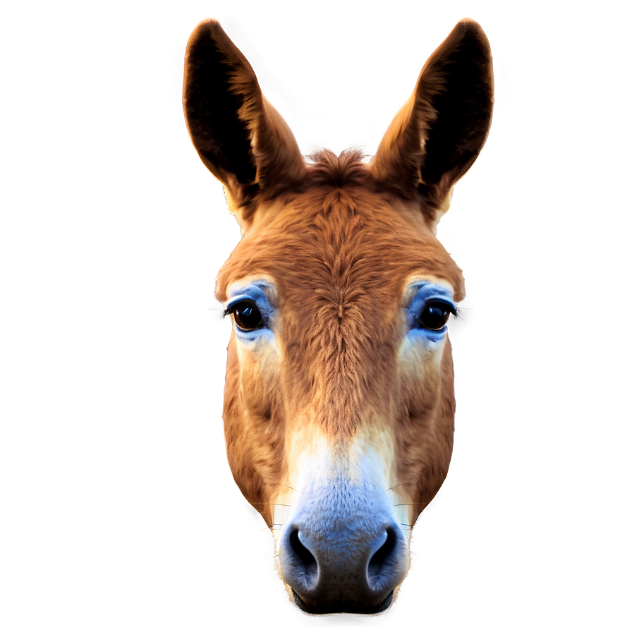 Mule Profile Icon Png Mnn9