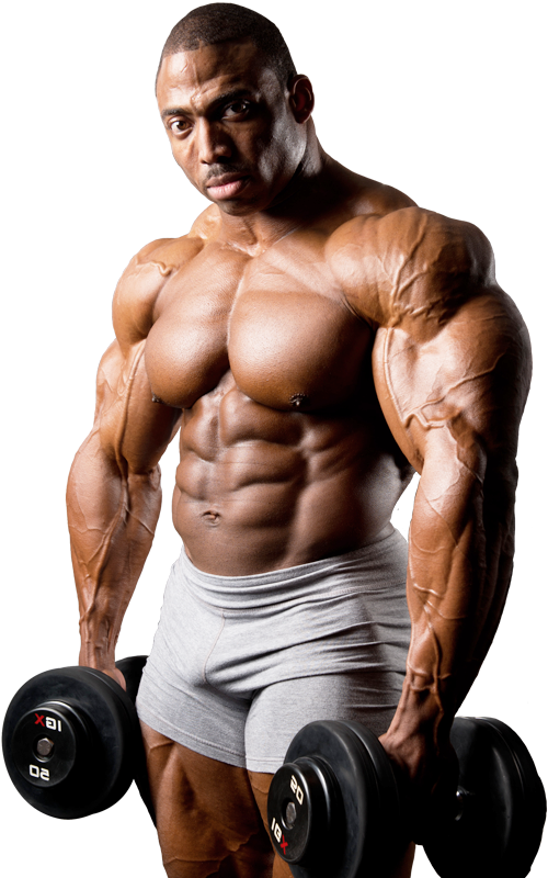 Muscular Bodybuilder Dumbbell Curl