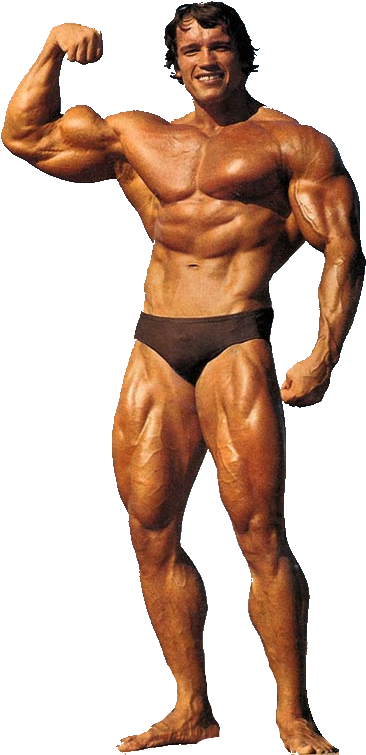 Muscular Bodybuilder Flexing Biceps.png