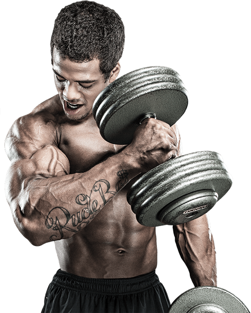 Muscular Man Performing Bicep Curl