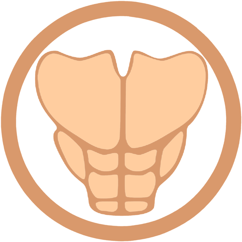 Muscular System Abdominal Muscles Icon