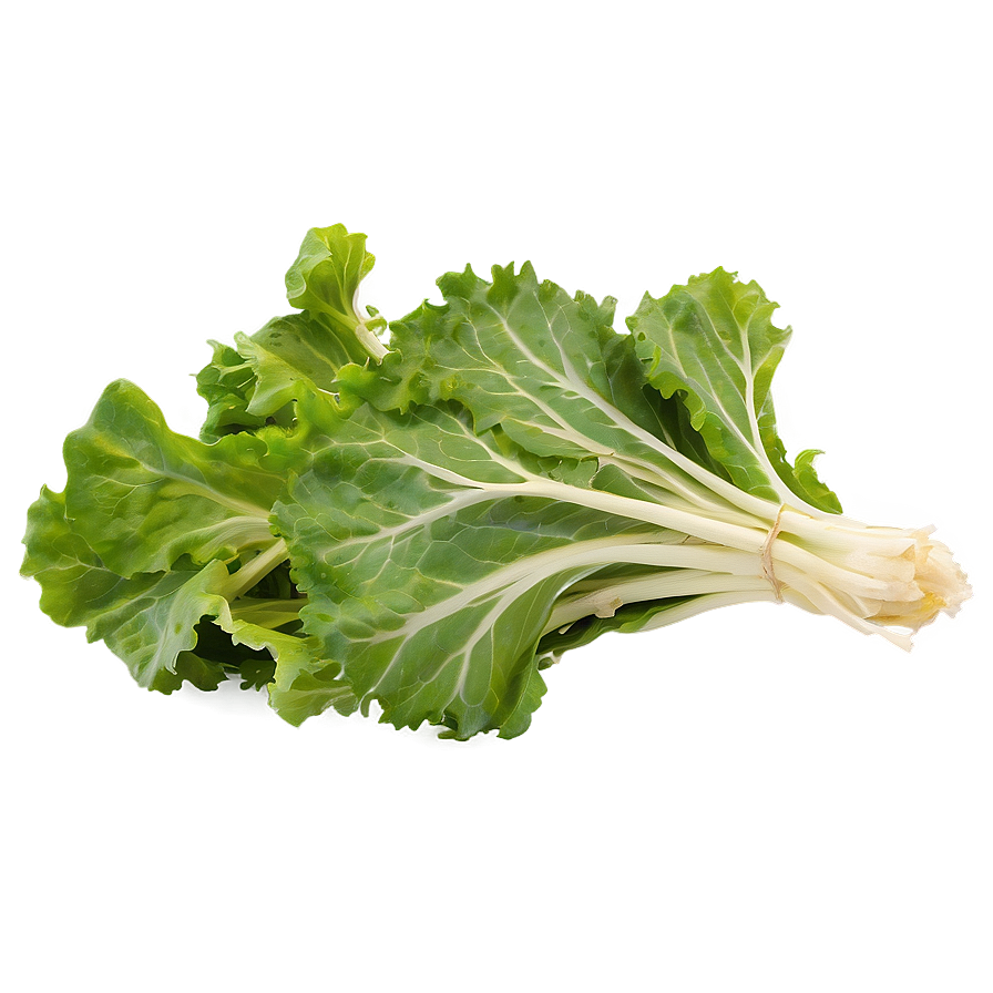 Mustard Greens Png 05242024