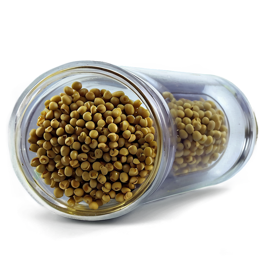 Mustard Seed Jar Png 05242024