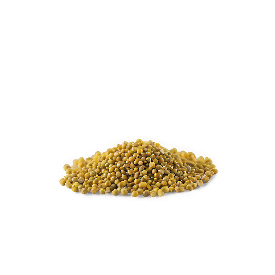 Mustard Seed Spice Png Imv