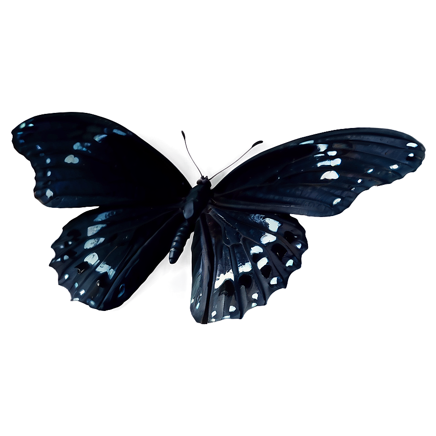 Mysterious Black Butterfly Png Kyl