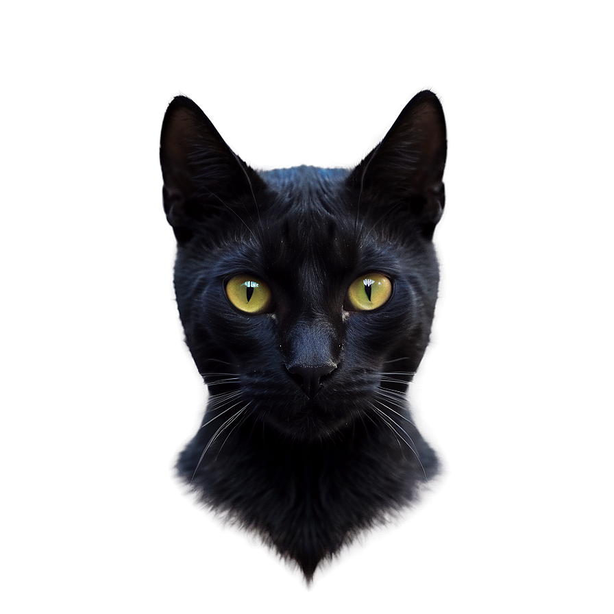 Mysterious Black Cat Png Ggq