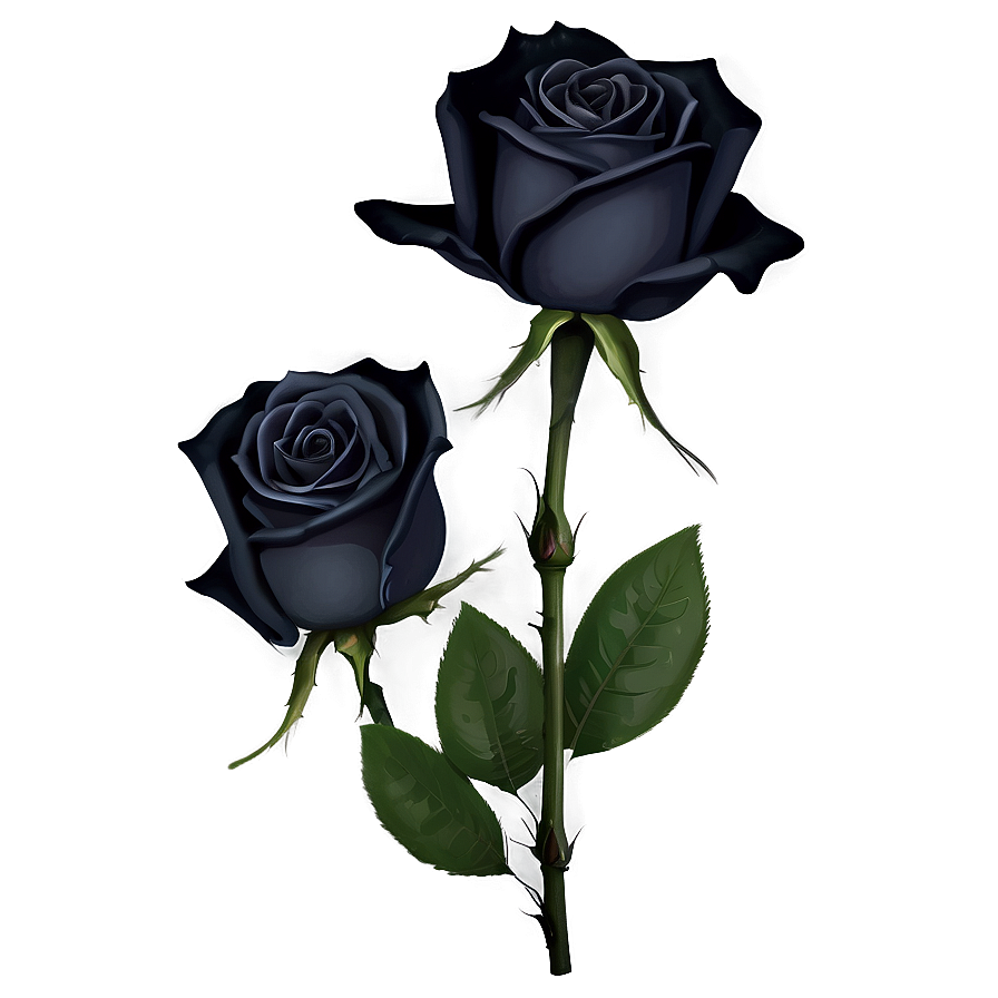 Mysterious Black Roses Png 98