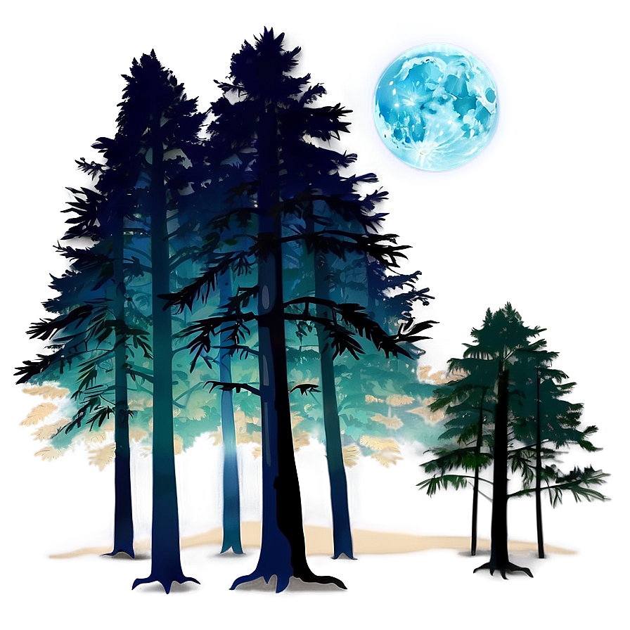 Mysterious Night Woods Png 06242024