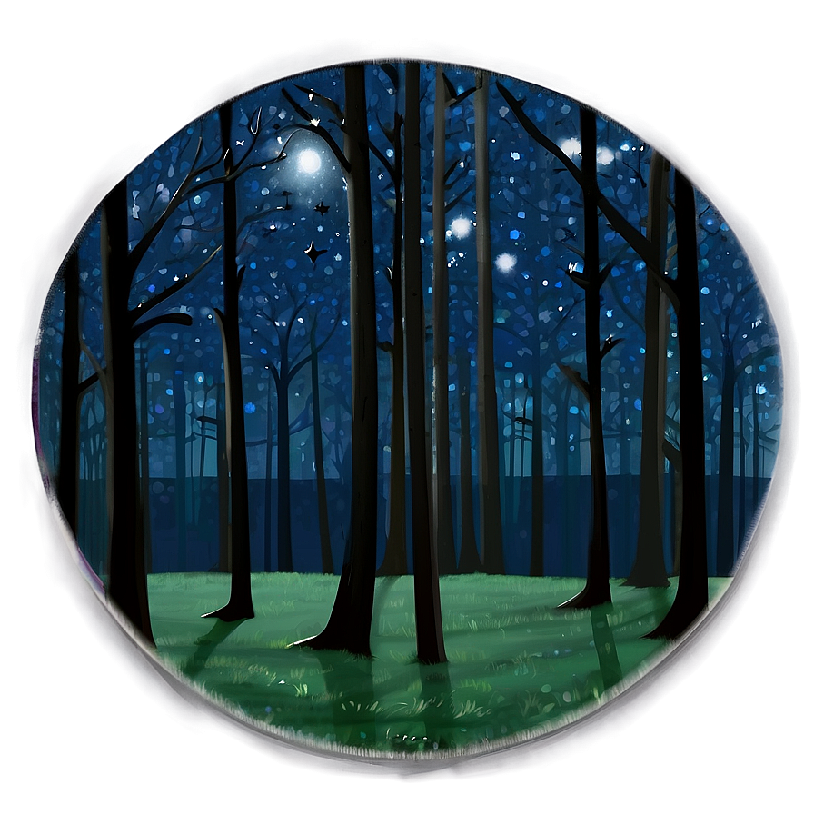 Mysterious Night Woods Png 06242024