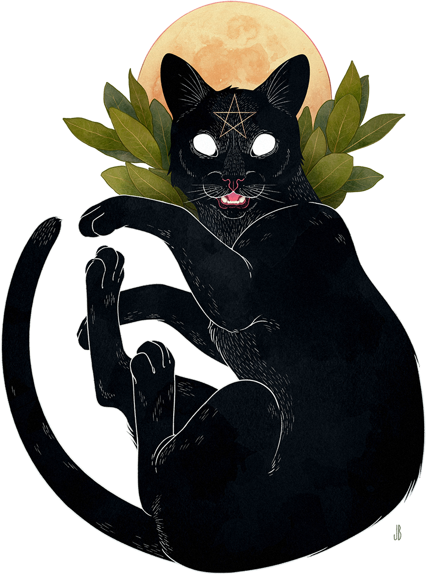 Mystical Black Cat Moon Illustration