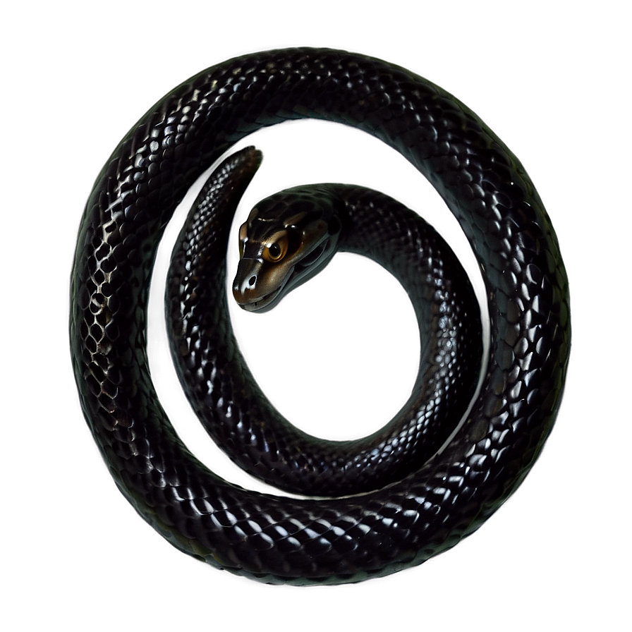 Mystical Black Snake Png Yxj53