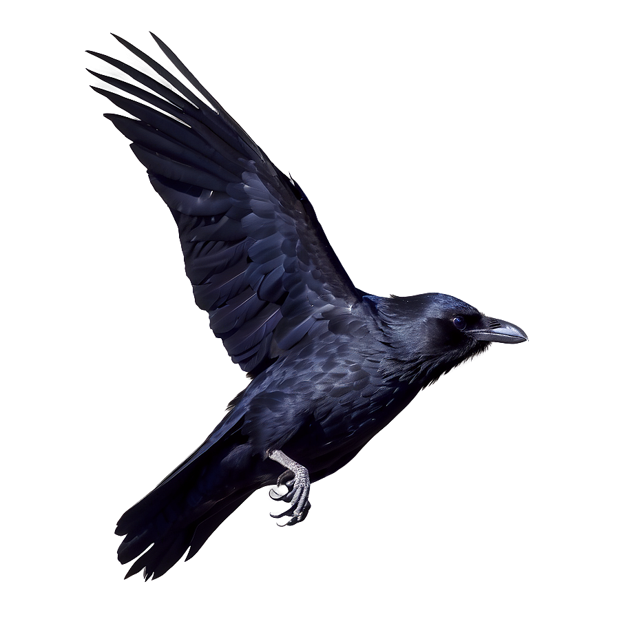 Mystical Raven In Moonlight Png 06122024