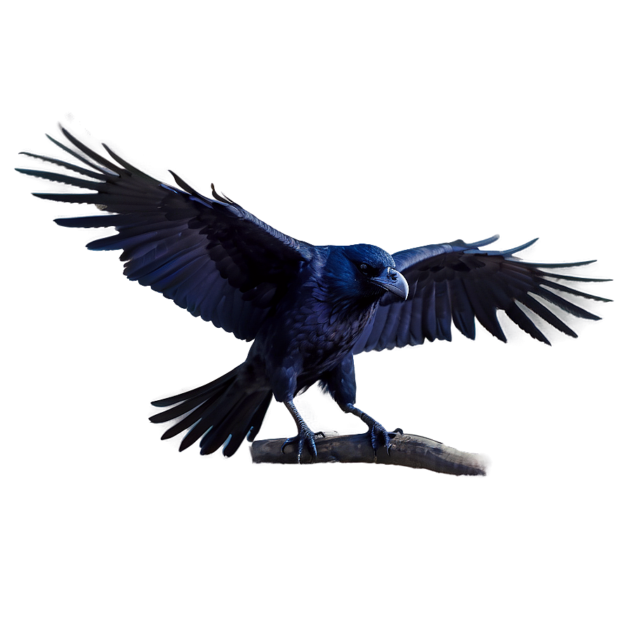 Mystical Raven Png 05062024